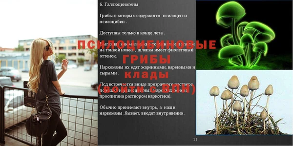 mdma Гусев