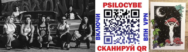 Купить  Тюкалинск  Псилоцибиновые грибы Psilocybe 